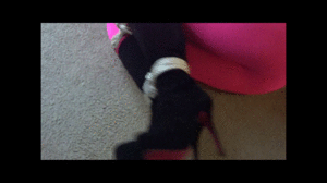 www.leggybondage.com - JAMIE KNOTTS SEXY KINKY MODEL BOUND IN PINK TIGHTS FULL VIDEO thumbnail
